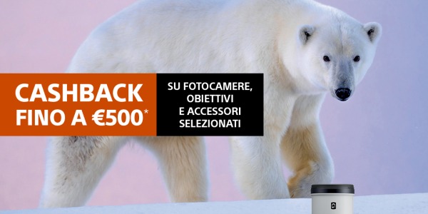 SONY Cashback Winter Edition 2024